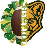 Carlynton Little Cougars Youth Football & Cheerleading